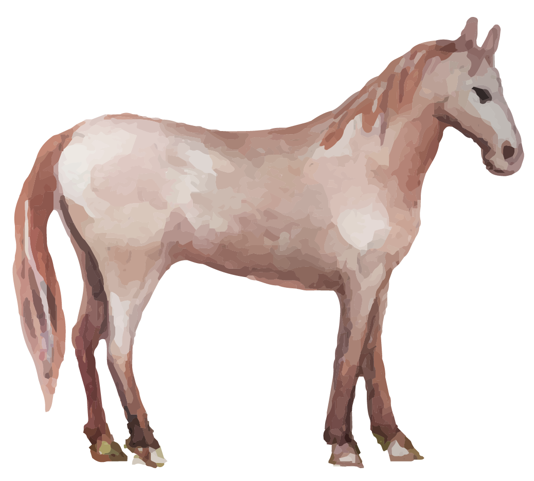 _kamerhof_webelemente-02